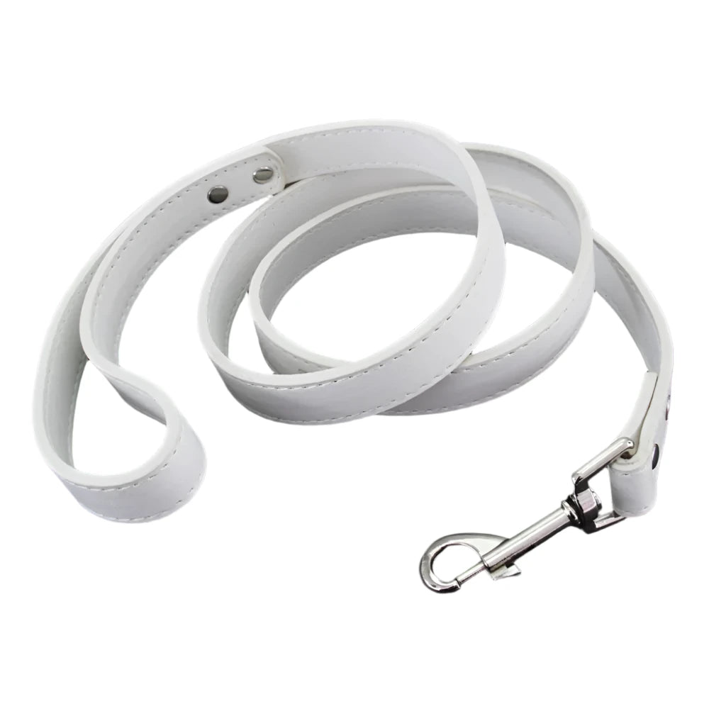 Close-up of premium white leather dog leash with padded handle and silver clasp