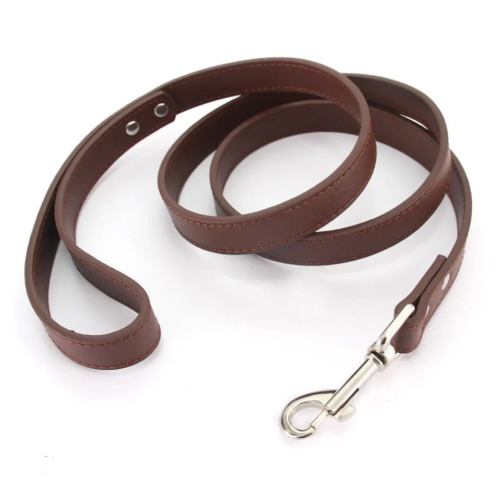 Close-up of premium brown leather dog leash with padded handle and silver clasp