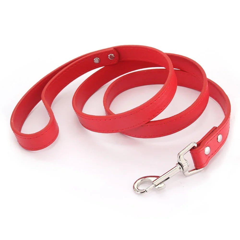 Close-up of premium red leather dog leash with padded handle and silver clasp