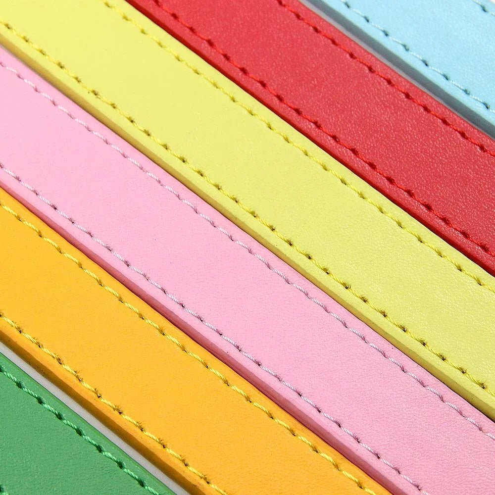 Stylish multi-color stripe design representing colorful leash options for all seasons
