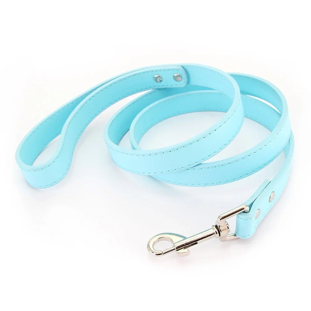 Close-up of premium light blue leather dog leash with padded handle and silver clasp