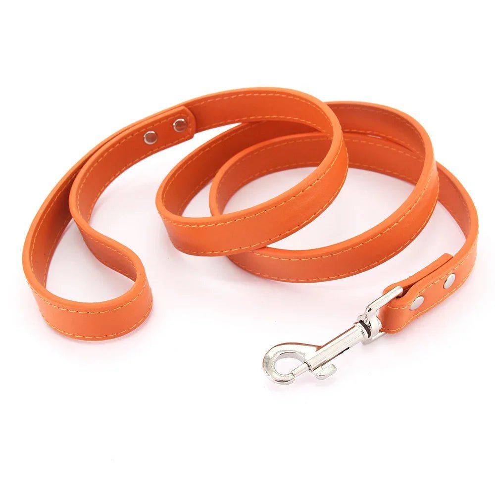 Close-up of premium orange leather dog leash with padded handle and silver clasp