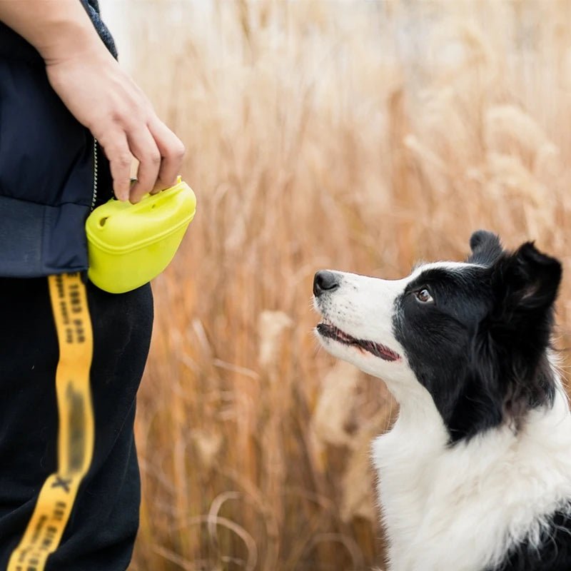 Dog receiving treats from a yellow magnetic dog treat pouch during a training session.