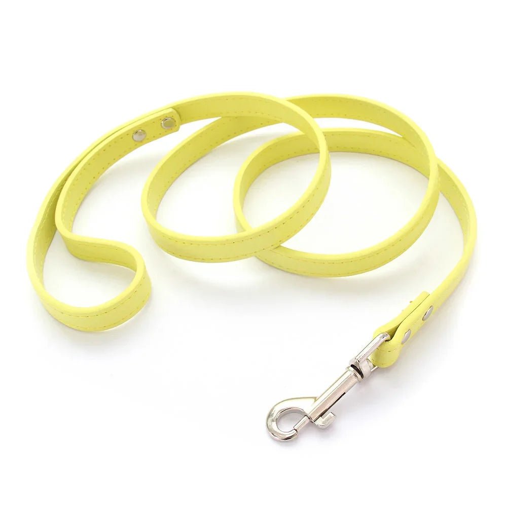 Close-up of premium Yellow leather dog leash with padded handle and silver clasp