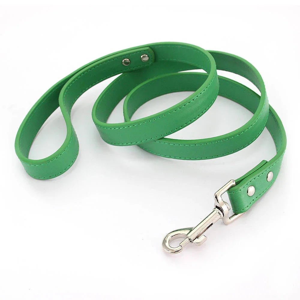 Close-up of premium green leather dog leash with padded handle and silver clasp