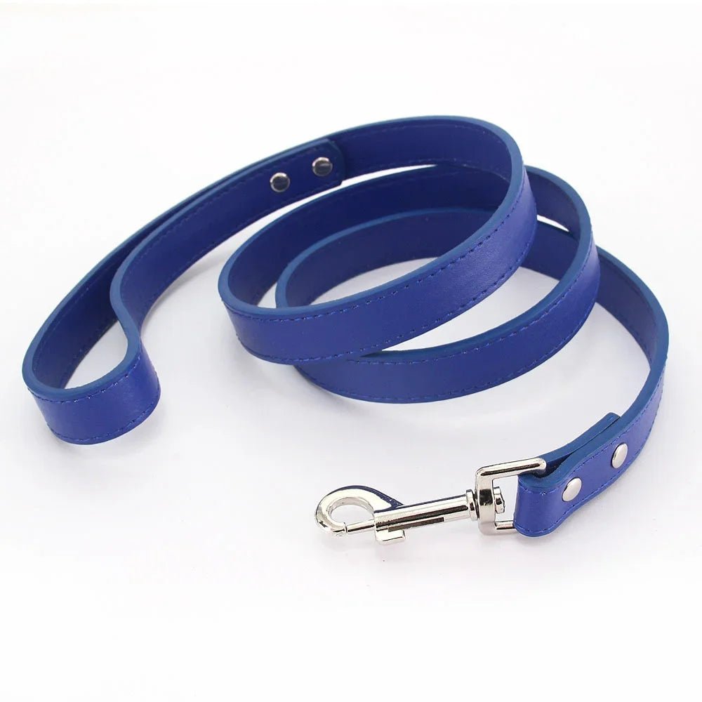 Close-up of premium navy blue leather dog leash with padded handle and silver clasp