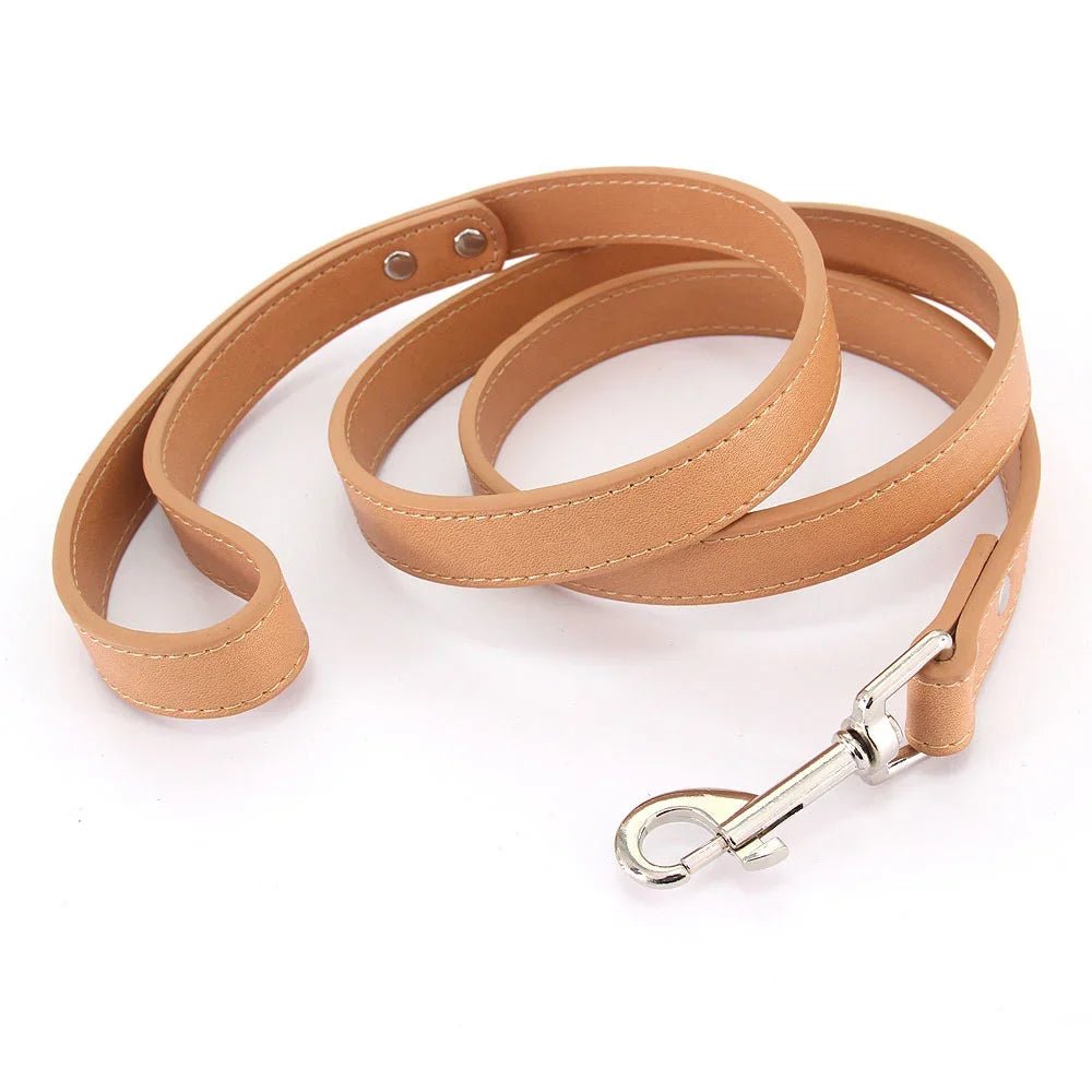Close-up of premium khaki leather dog leash with padded handle and silver clasp