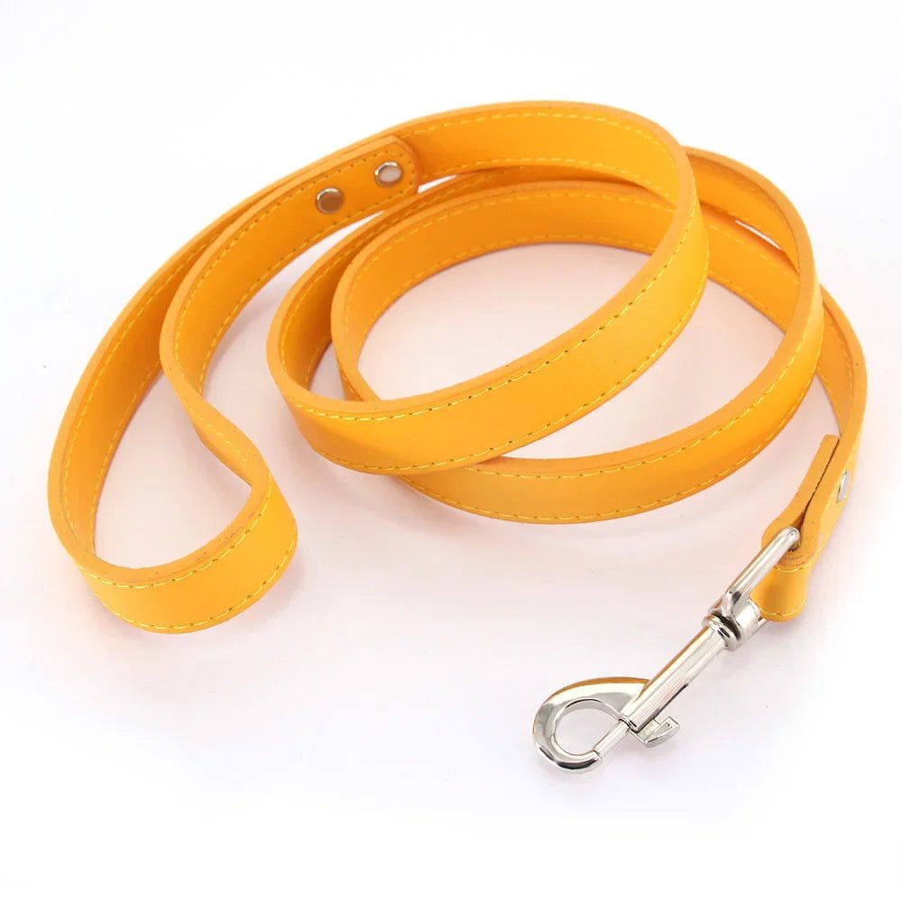 Close-up of premium Gold leather dog leash with padded handle and silver clasp