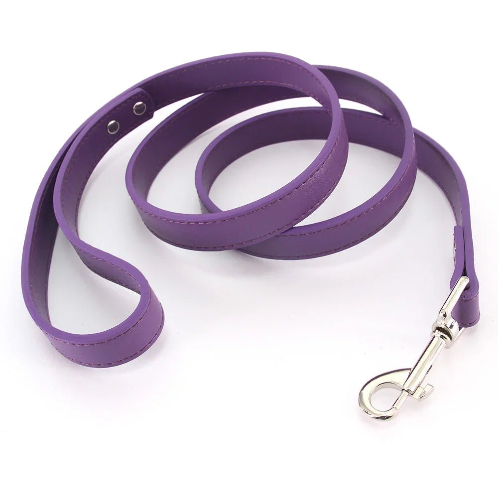 Close-up of premium purple leather dog leash with padded handle and silver clasp