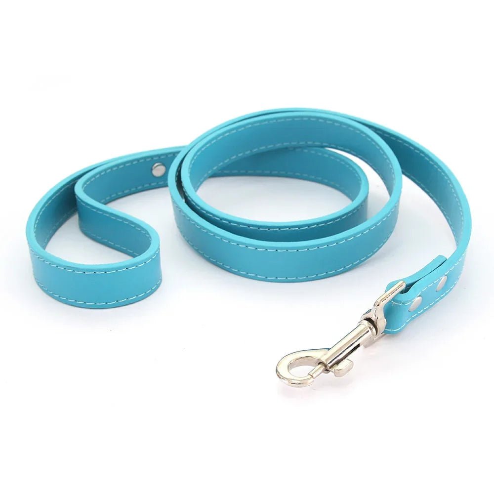 Close-up of premium lake blue leather dog leash with padded handle and silver clasp