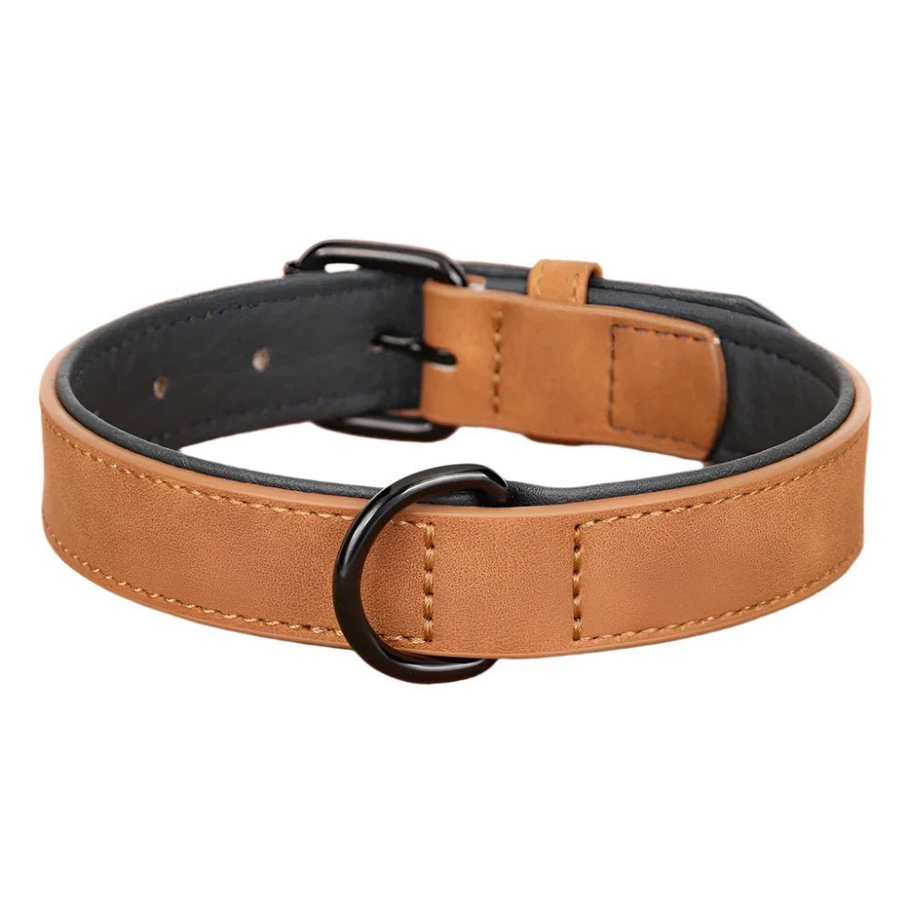 A classic tan light brown padded leather pet collar with a strong D ring attachment