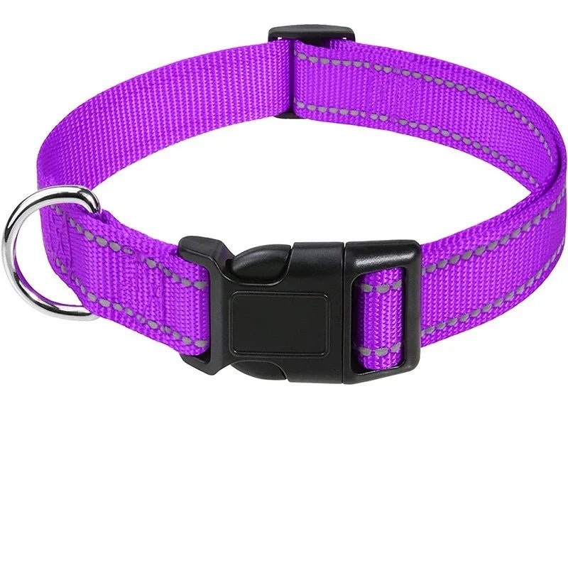 Deep purple reflective adjustable nylon dog collar