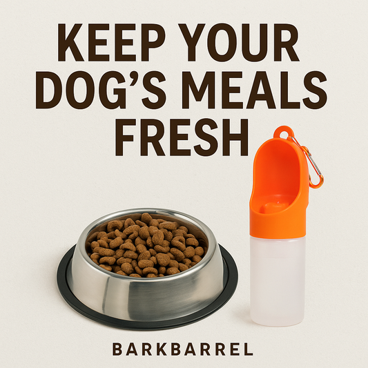 Dog food freshness essentials featuring a stainless steel dog bowl filled with kibble and a portable orange water bottle, with BarkBarrel branding and the text 'Keep Your Dog’s Meals Fresh'.