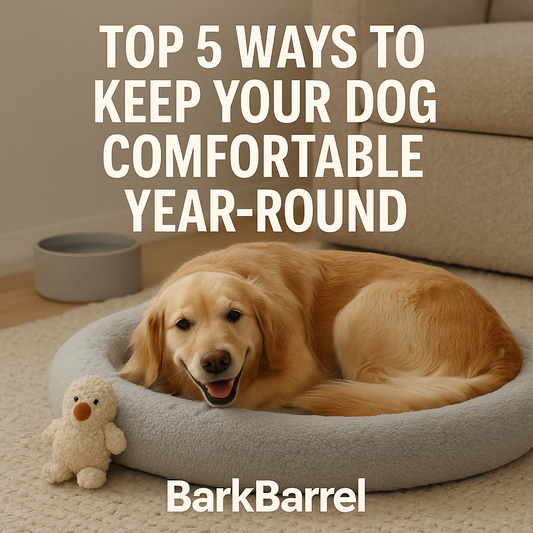 A happy Golden Retriever laying in a cozy gray dog bed next to a plush toy, with bold text 'Top 5 Ways to Keep Your Dog Comfortable Year-Round' and BarkBarrel branding.