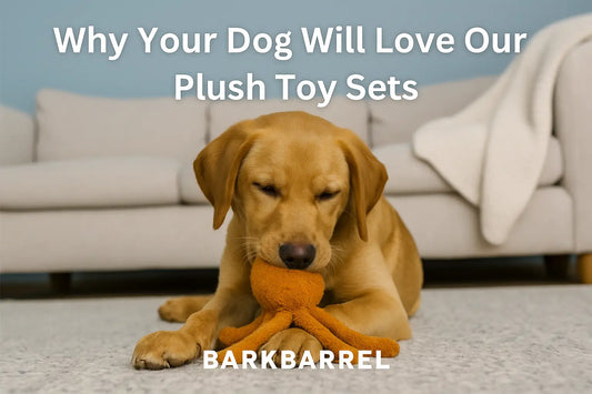 Why Dog Parents Love Our Plush Toy Bundles (And How to Save Big)