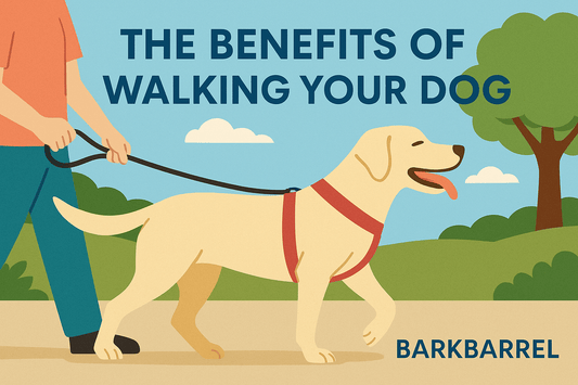 Blog banner with text 'Benefits of Walking Your Dog' and BarkBarrel logo