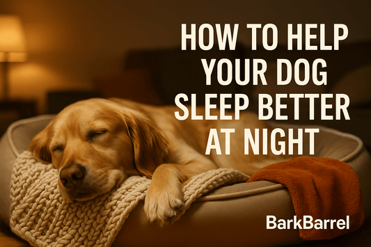 Golden retriever peacefully sleeping in a cozy dog bed with warm lighting and soft blankets, featured in BarkBarrel’s blog “How to Help Your Dog Sleep Better at Night.” The image includes the blog title and BarkBarrel branding.