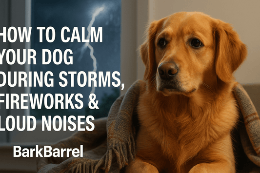 Realistic photo of a relaxed dog lying calmly indoors during a storm, with the blog title "How to Calm Your Dog During Storms, Fireworks & Loud Noises" and BarkBarrel branding displayed.