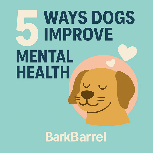 Illustration of a smiling dog with a heart symbol and the title “5 Ways Dogs Improve Mental Health” for BarkBarrel blog post.