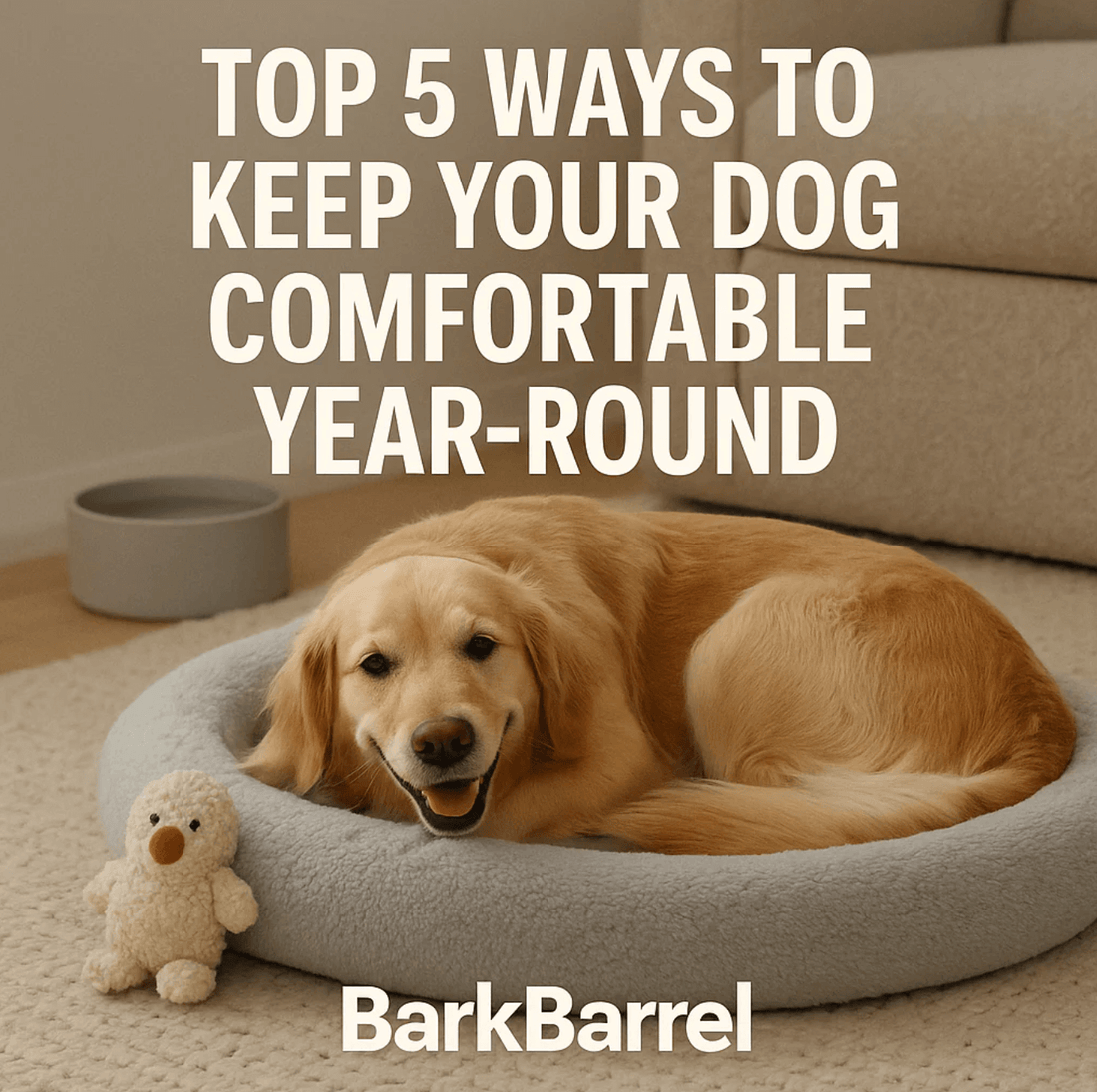 Golden retriever relaxing in a cozy dog bed, featured in BarkBarrel’s blog “Top 5 Ways to Keep Your Dog Comfortable Year-Round.”