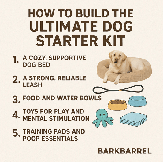 Flat-lay of essential dog products including a bed, leash, toys, and bowls, shown in BarkBarrel’s blog “How to Build the Ultimate Dog Starter Kit.”