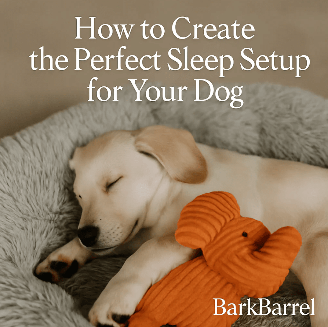 Golden retriever sleeping peacefully in bed with an orange plush toy, featured in BarkBarrel’s blog “How to Create the Perfect Sleep Setup for Your Dog.”