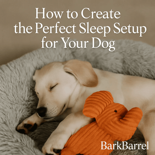 Golden retriever sleeping peacefully in bed with an orange plush toy, featured in BarkBarrel’s blog “How to Create the Perfect Sleep Setup for Your Dog.”
