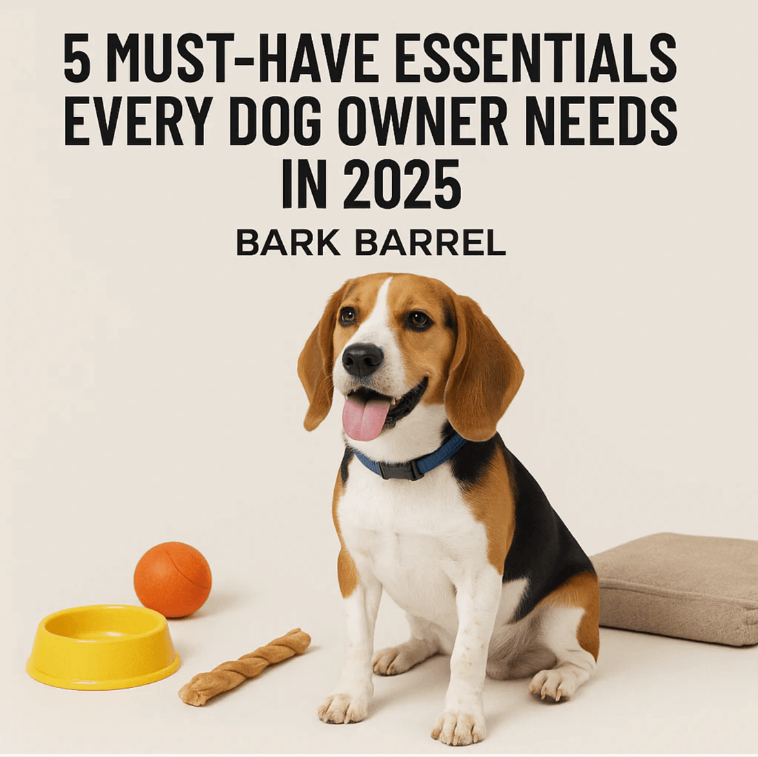 Beagle sitting with essential dog products including a toy, bowl, and leash, featured in BarkBarrel’s blog “5 Must-Have Essentials Every Dog Owner Needs in 2025.”