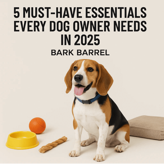 Beagle sitting with essential dog products including a toy, bowl, and leash, featured in BarkBarrel’s blog “5 Must-Have Essentials Every Dog Owner Needs in 2025.”