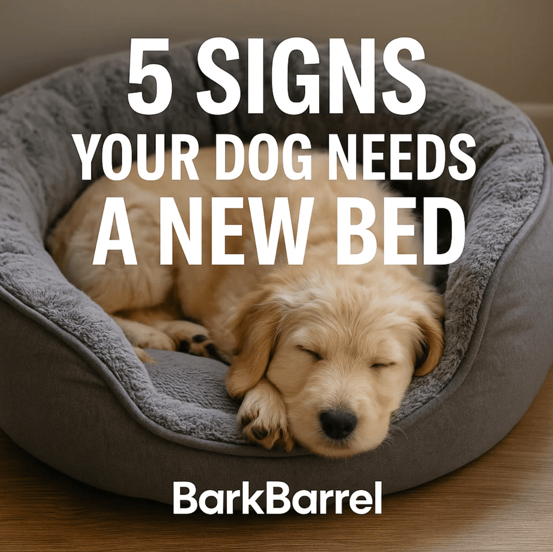 Golden retriever puppy sleeping in a plush gray dog bed, featured in BarkBarrel’s blog “5 Signs Your Dog Needs a New Bed.”