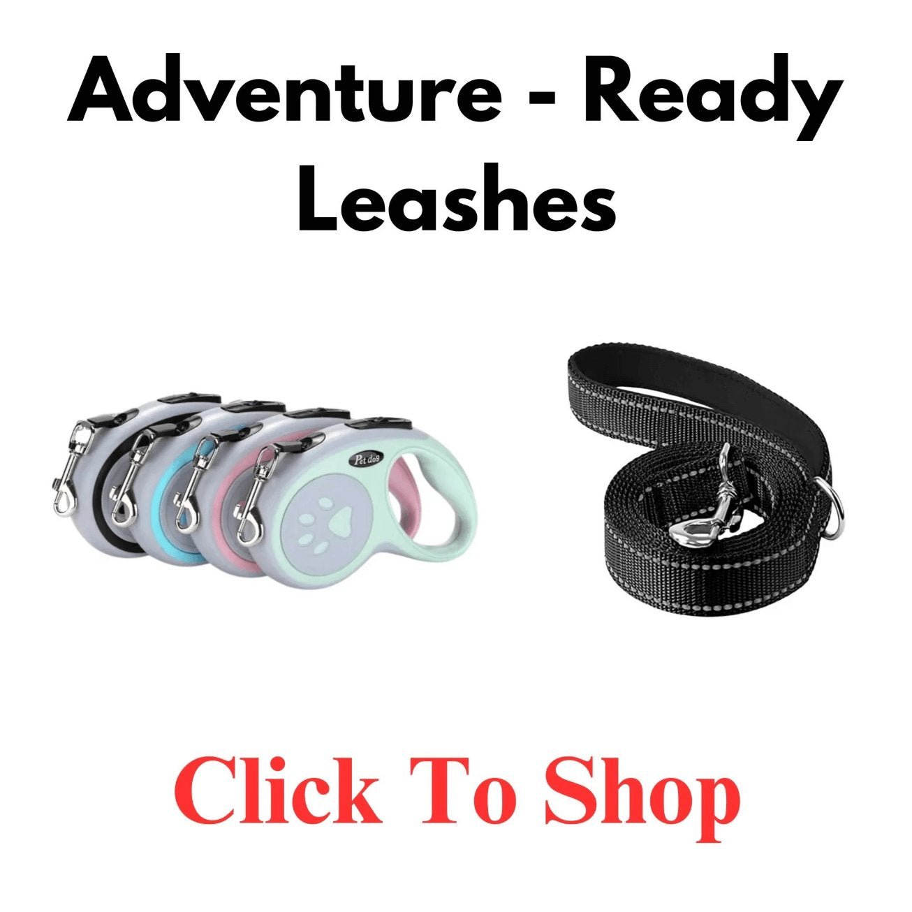 Five colorful retractable dog leashes and a rolled black leash on grey background