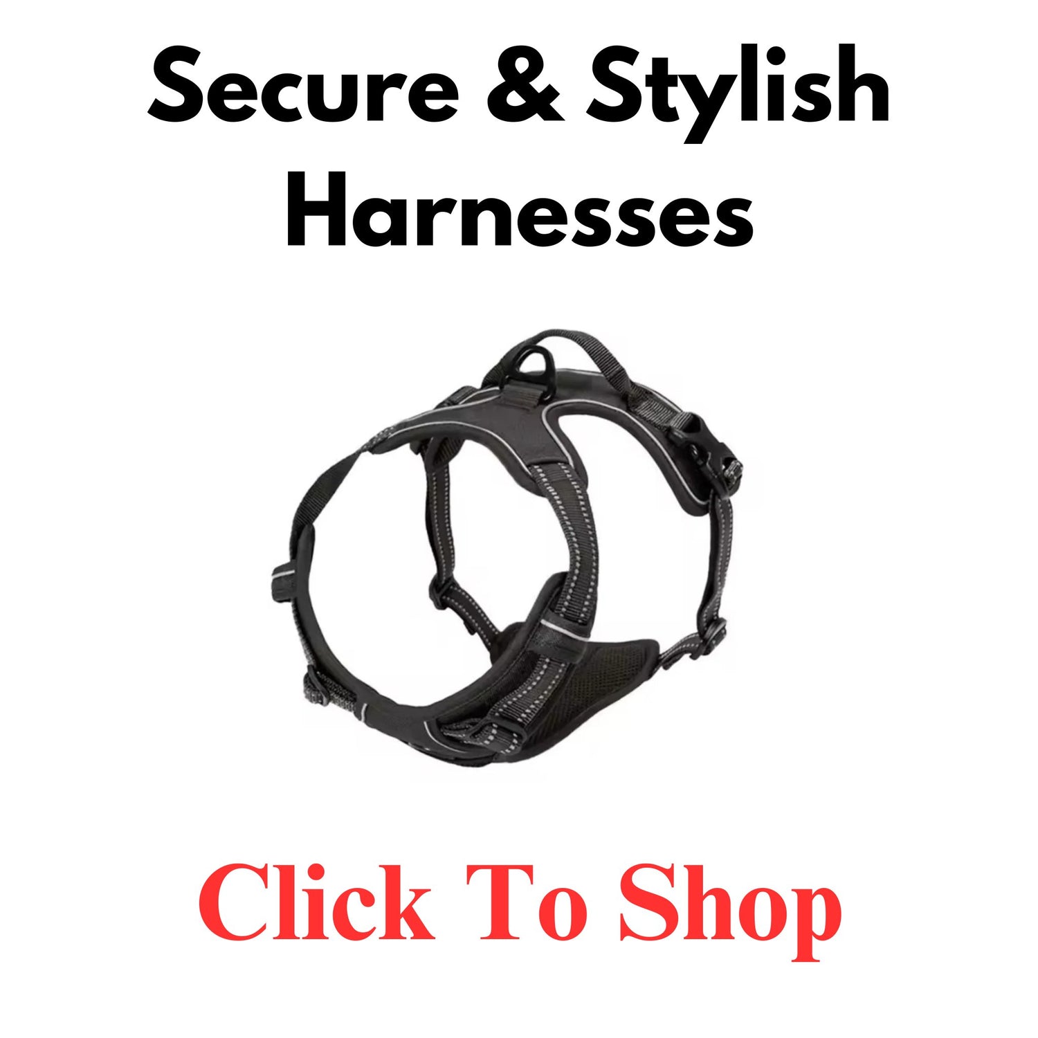 Secure & Stylish Harnesses