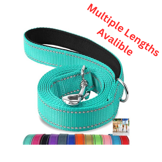 Reflective dog leash in teal color with multiple length options available for all dog sizes.