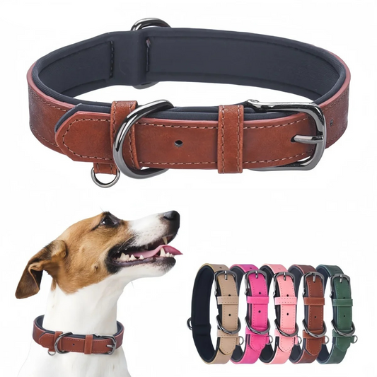 Premium Padded Leather Dog Collar- Adjustable Fit