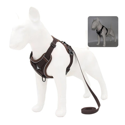 Adjustable Dog Harness & Leash Set for Small and Medium Dogs