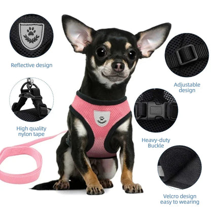 Lightweight Adjustable Dog Harness & Leash