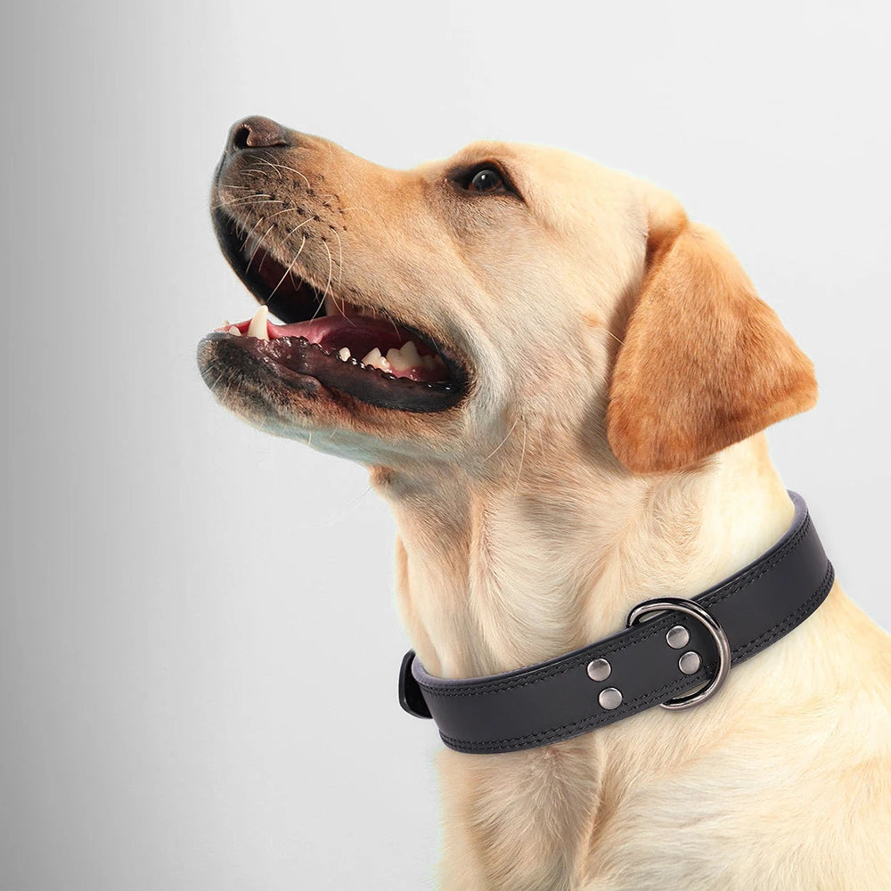 Stylish Soft Leather Dog Collar- Adjustable Fit