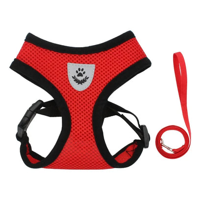 Lightweight Adjustable Dog Harness & Leash