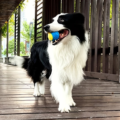 Durable Dog Chew Ball with Teeth Cleaning & Sound