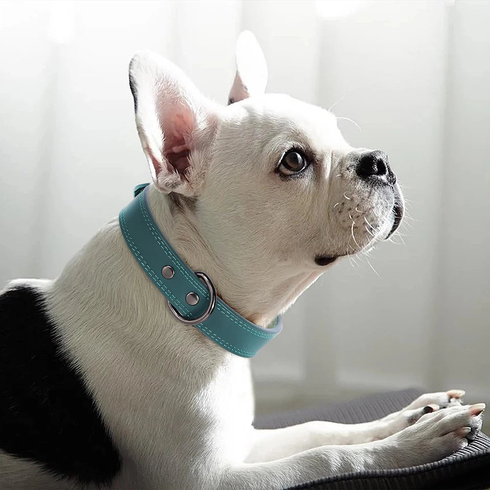 Stylish Soft Leather Dog Collar- Adjustable Fit