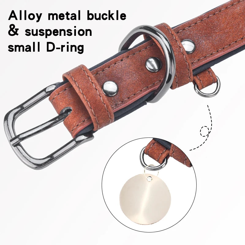 Premium Padded Leather Dog Collar- Adjustable Fit