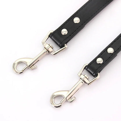 5 Foot - Premium Leather Dog Leash - 16 Colors