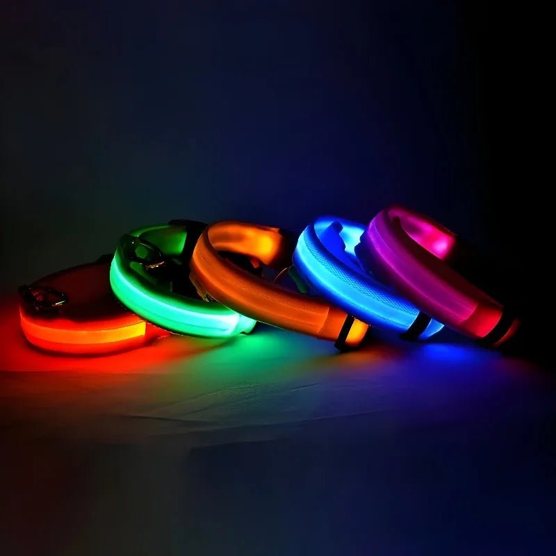 LED Glow Nylon Dog Collar - Adjustable Fit & Reflective