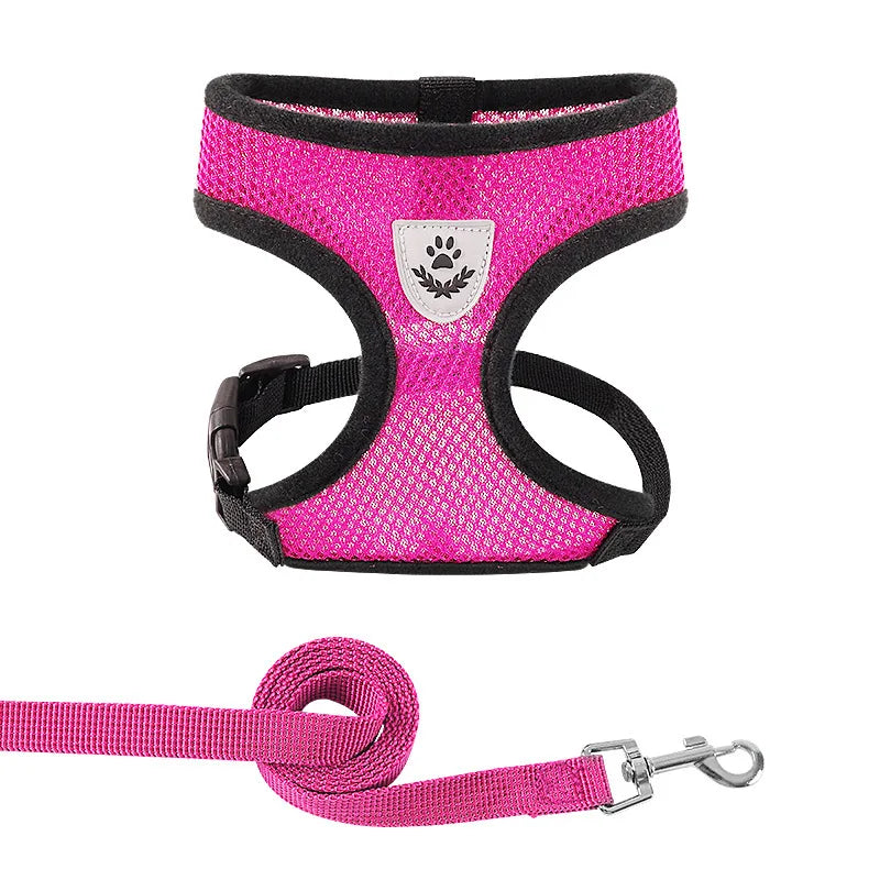 Lightweight Adjustable Dog Harness & Leash