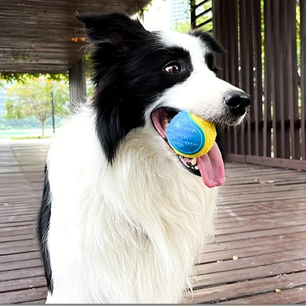 Durable Dog Chew Ball with Teeth Cleaning & Sound