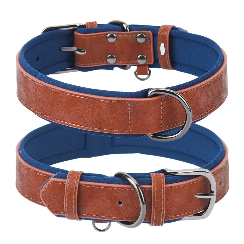 Premium Padded Leather Dog Collar- Adjustable Fit