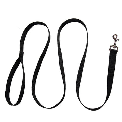 Heavy-Duty Nylon Dog Leash – Multiple Lengths