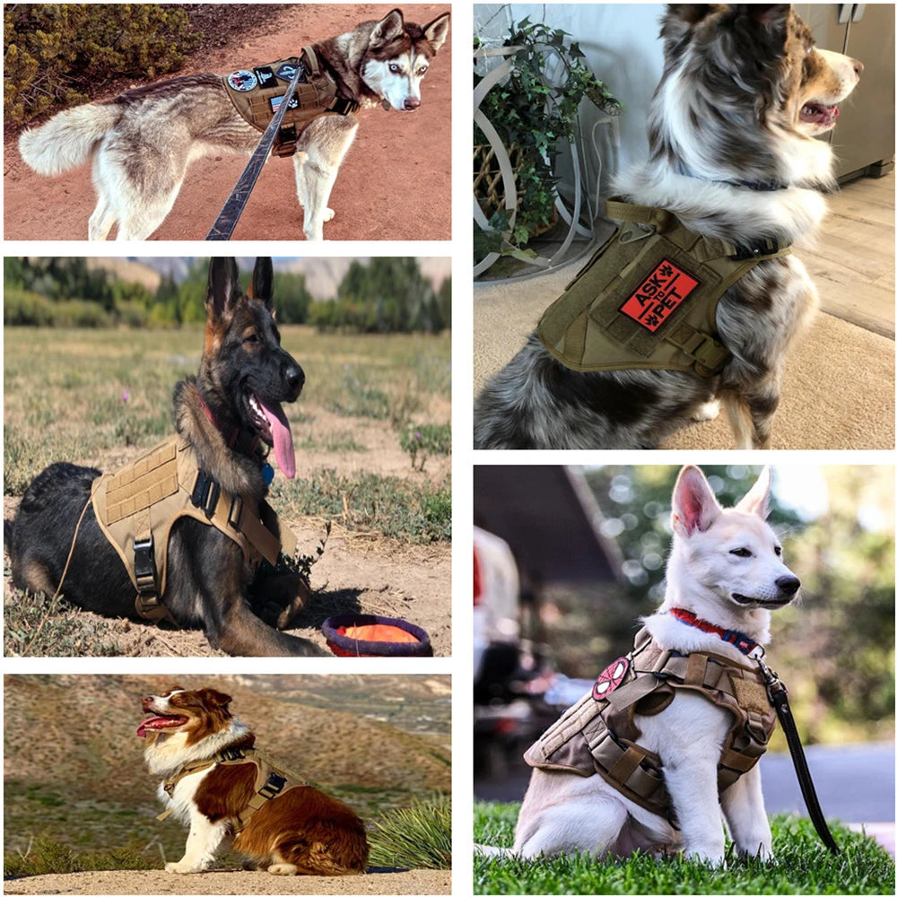 Tactical Military Dog Harness with Quick-Release – Adjustable Sizes