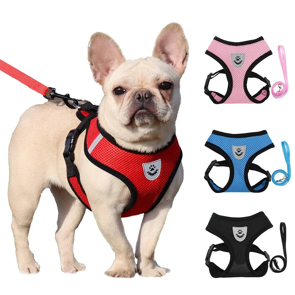 Lightweight Adjustable Dog Harness & Leash