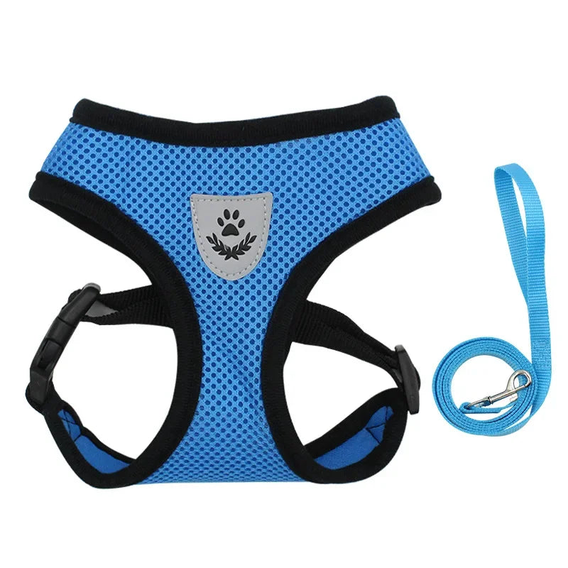 Lightweight Adjustable Dog Harness & Leash